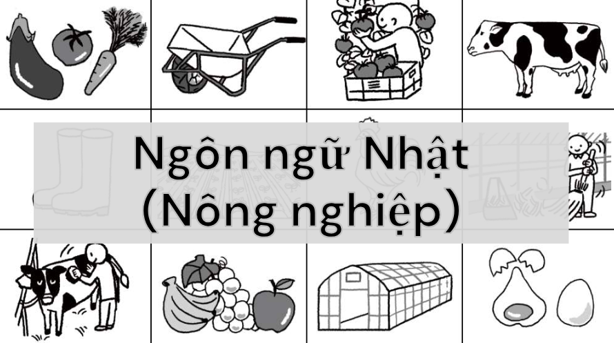 ベトナム語の特定技能1号学習動画 特定技能1号農業のベトナム語シート