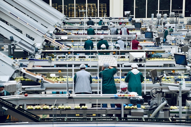 食品工場内の様子
