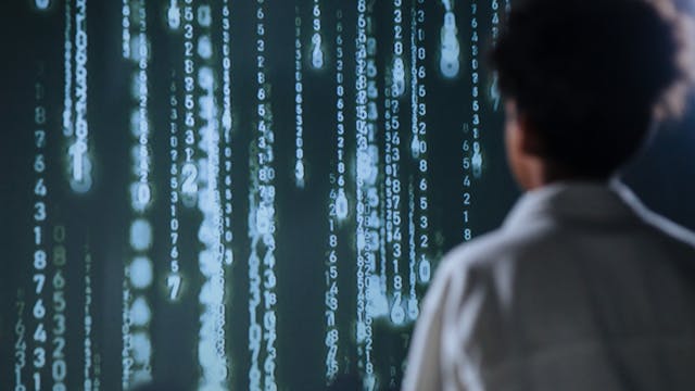 日本企業のIT分野で活躍している外国人