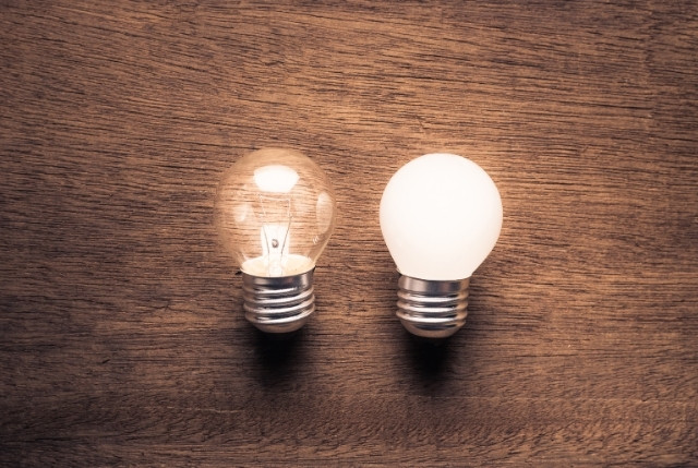 木の上に並ぶ2つの電球。片方は点灯し、片方は消灯している。制度の比較や違いを象徴するイメージ。